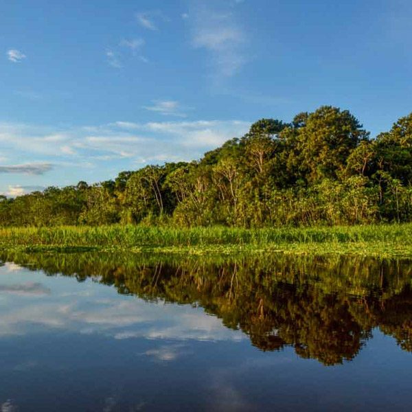 Luxury Amazon River Cruise & Machu Picchu | Peruvian Soul