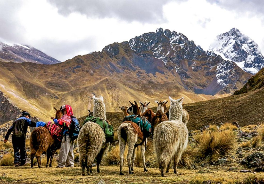 Hiking with llamas in the Sacred Valley of the Incas